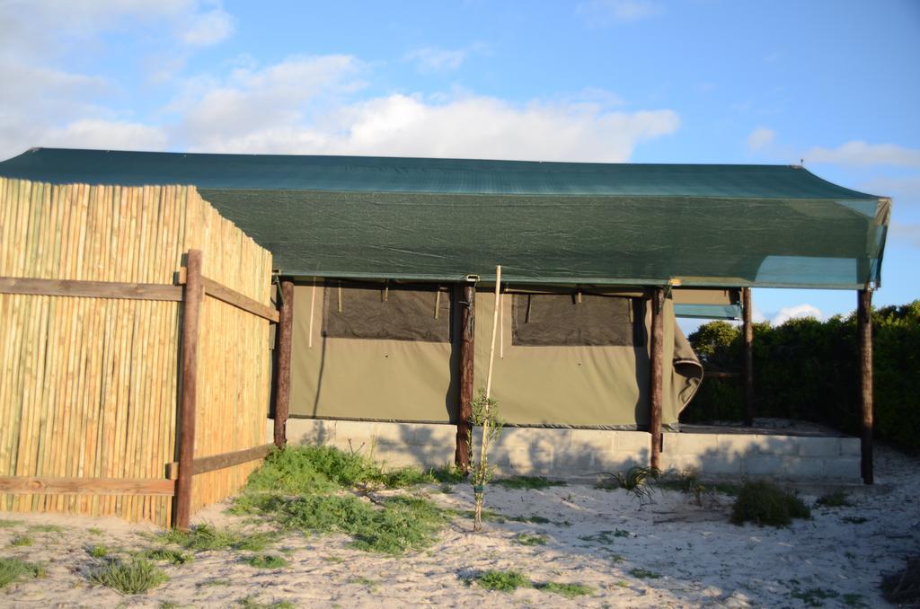West Coast Luxury Tents Dwarskersbos 외부 사진
