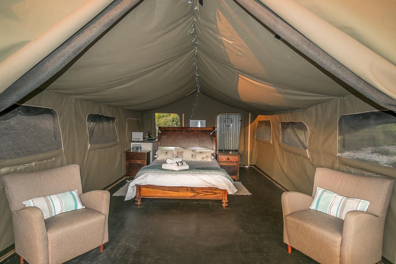 West Coast Luxury Tents Dwarskersbos 외부 사진