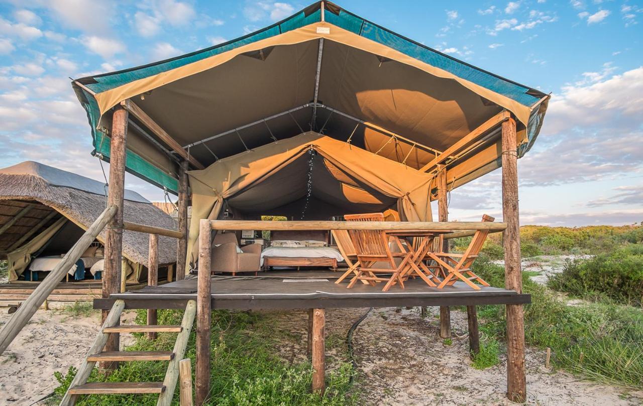 West Coast Luxury Tents Dwarskersbos 외부 사진